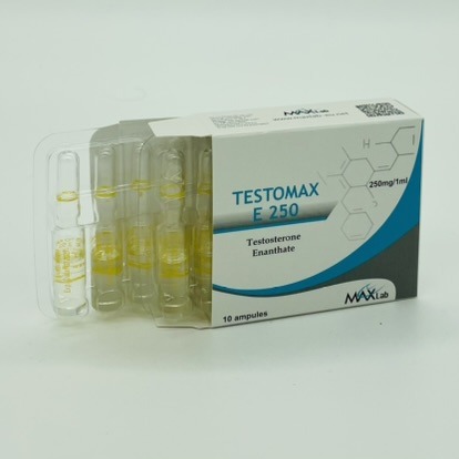 Тестомакс (Testomax E 250) – Тестостерон енантат – 10 амп. х 250 mg – MAXLab